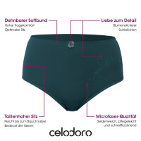 Celodoro Damen Taillenslip (6er Pack) Microfaser-Slip mit Stickerei - Herbstfarben 44-46